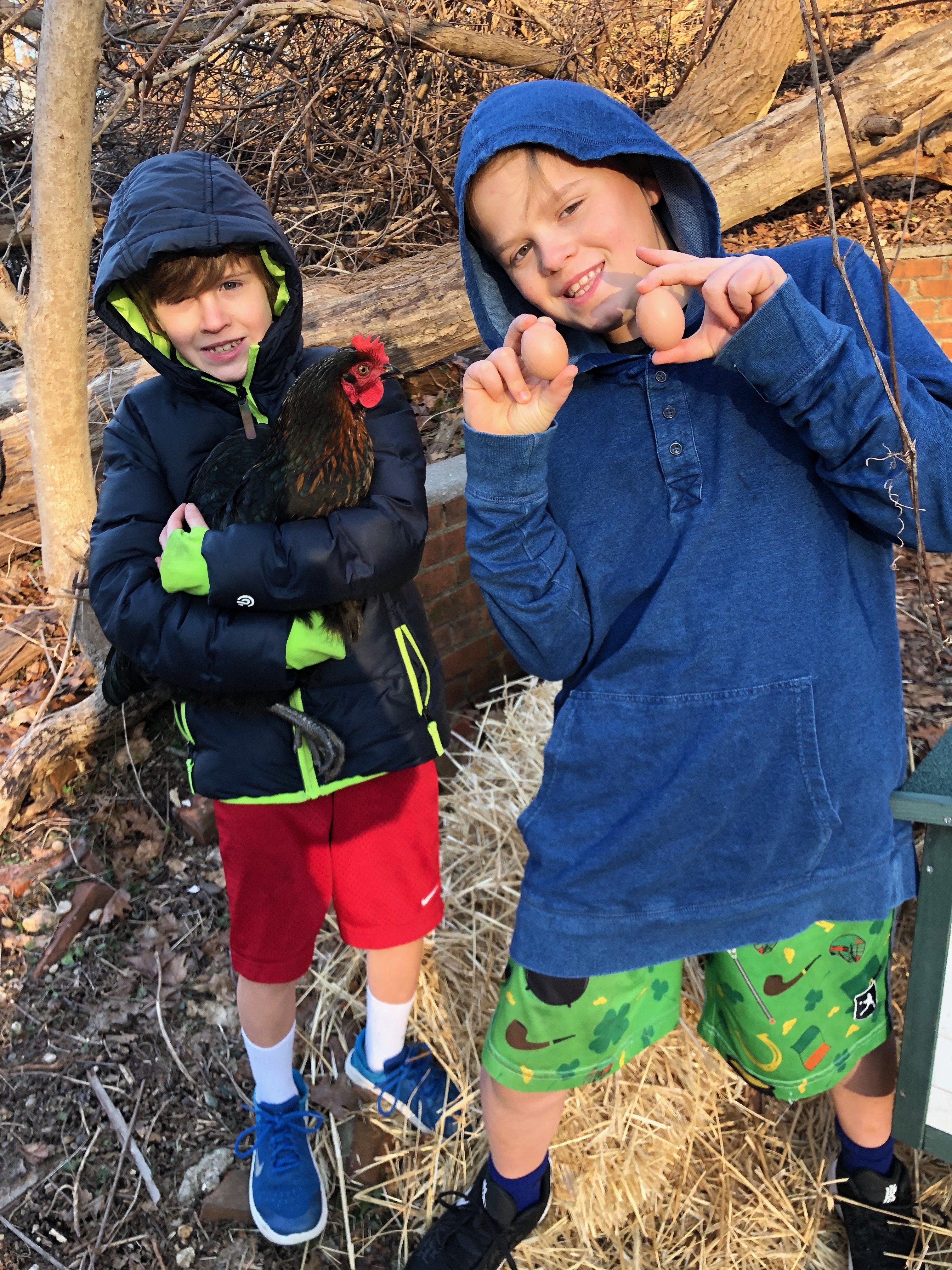 Raising Kids and Chickens | Eco Travel
