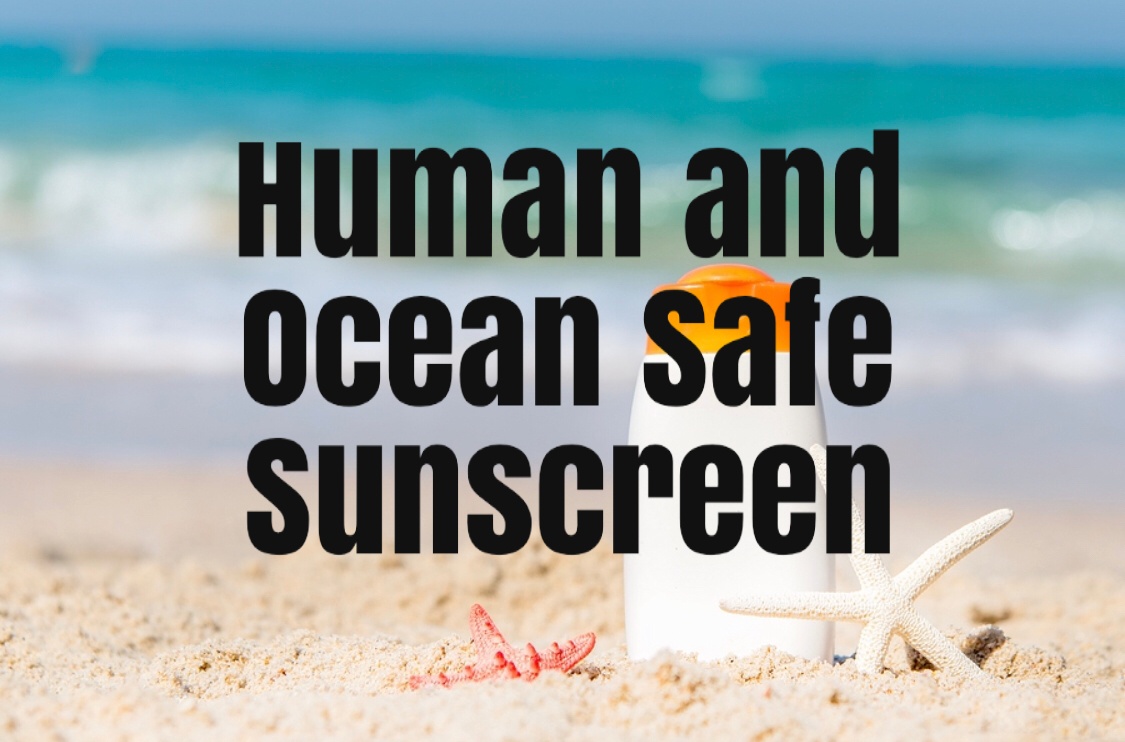 Ocean Safe Coral Safe Sunscreen Eco Travel