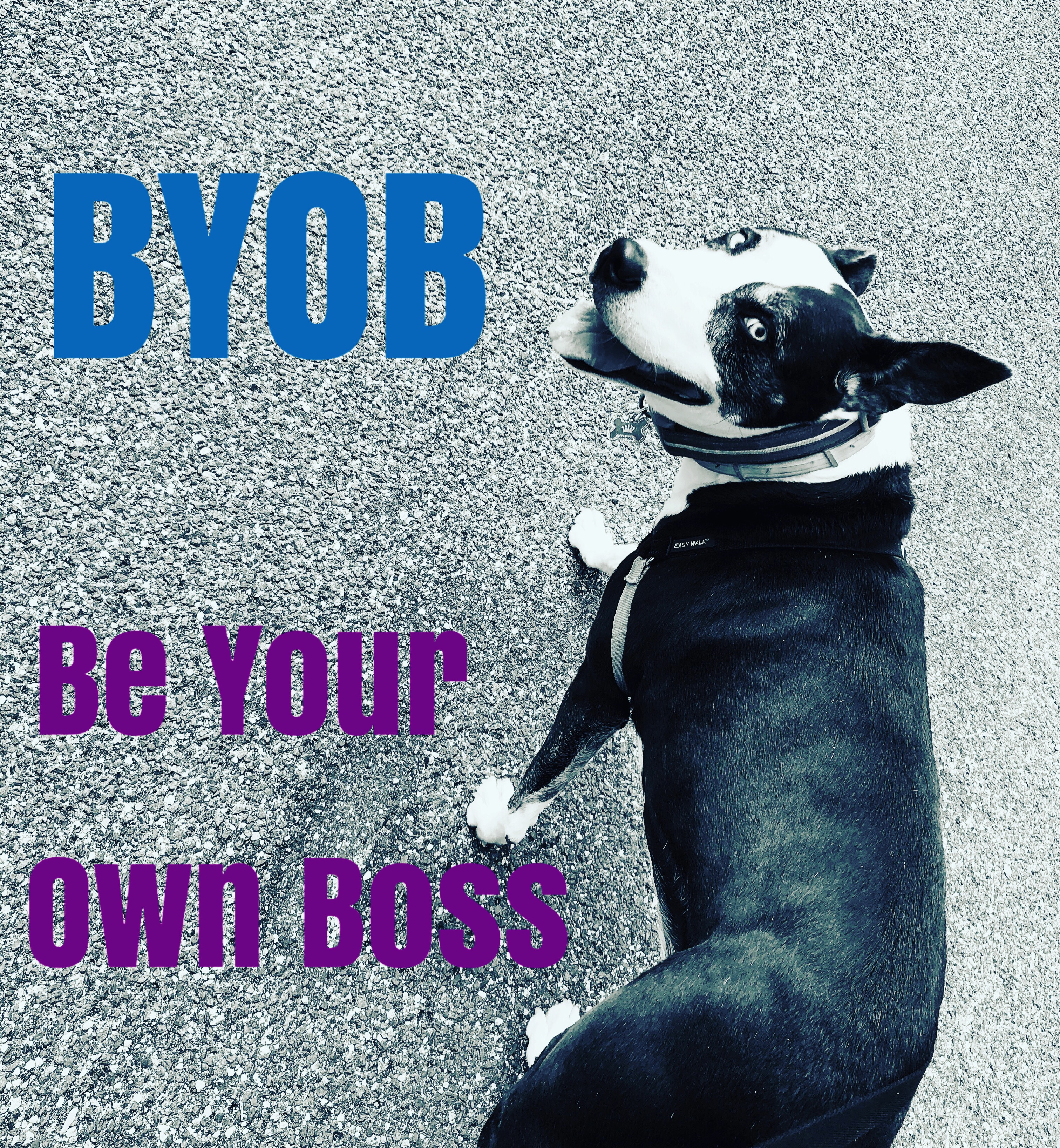 BYOB: Be Your Own Boss