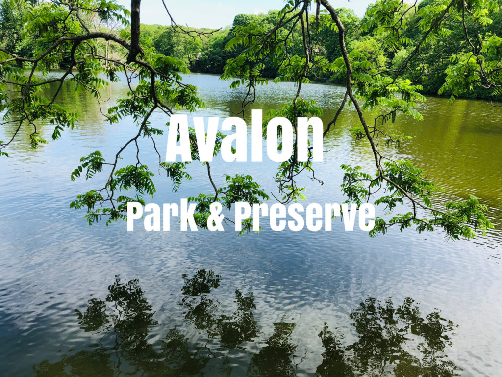 Avalon Park and Preserve Eco Travel