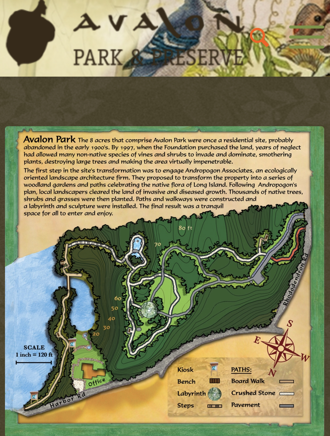 Avalon Park and Preserve Time Flies and So Should You