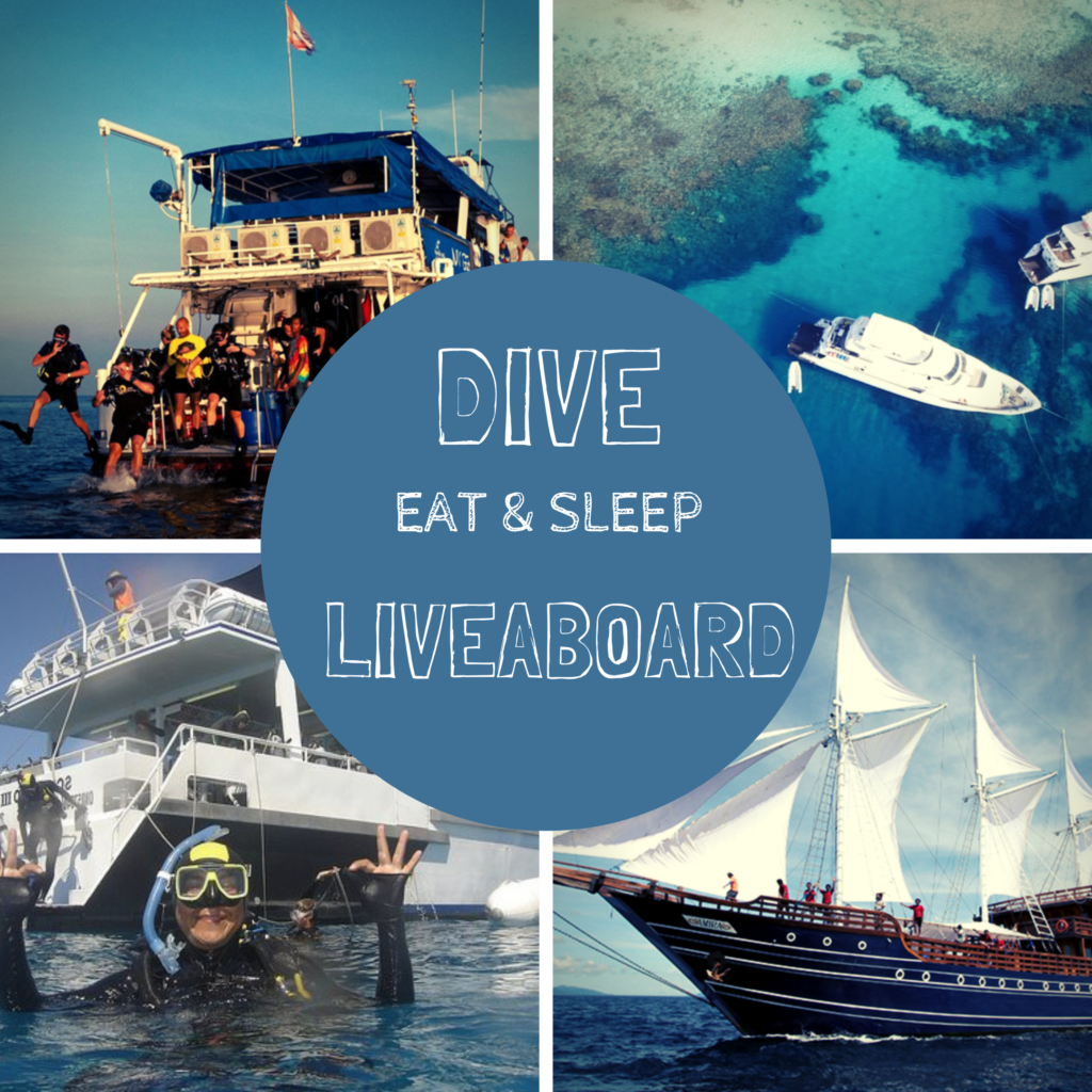LIveaboard scuba dive sleep eat aboard a dive boat Eco Travel
