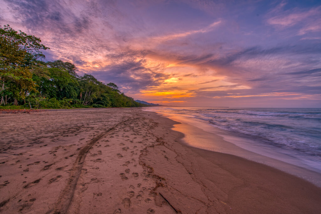 puerto viejo beach