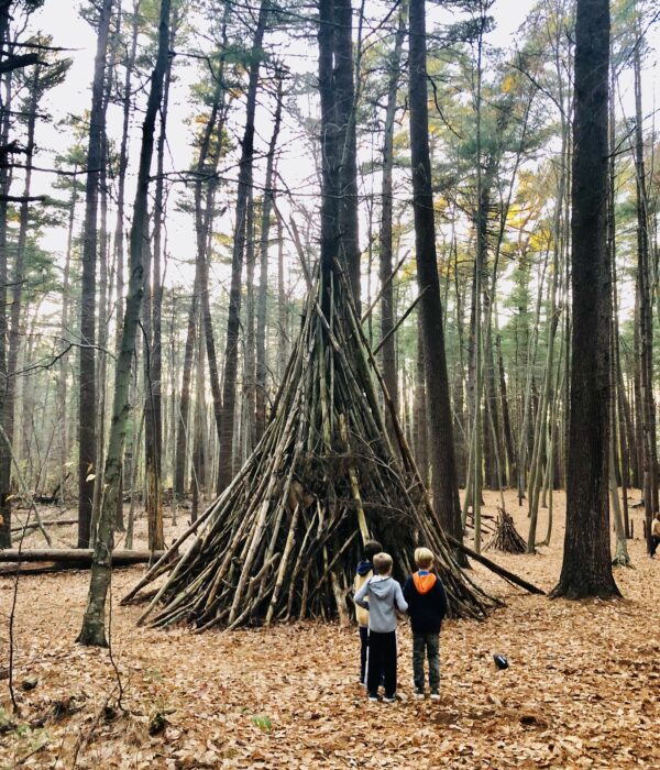 Take a Hike at Prosser Pines Nature Preserve, The Only White Pine Forest In Long Island