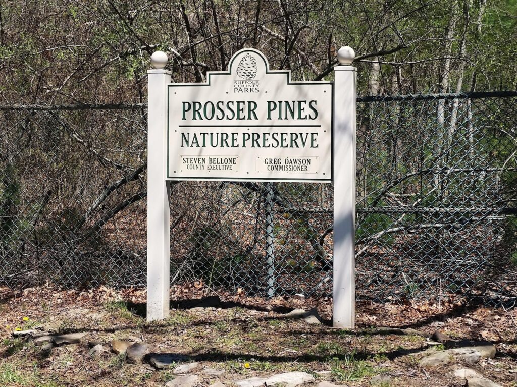 Prosser Pines