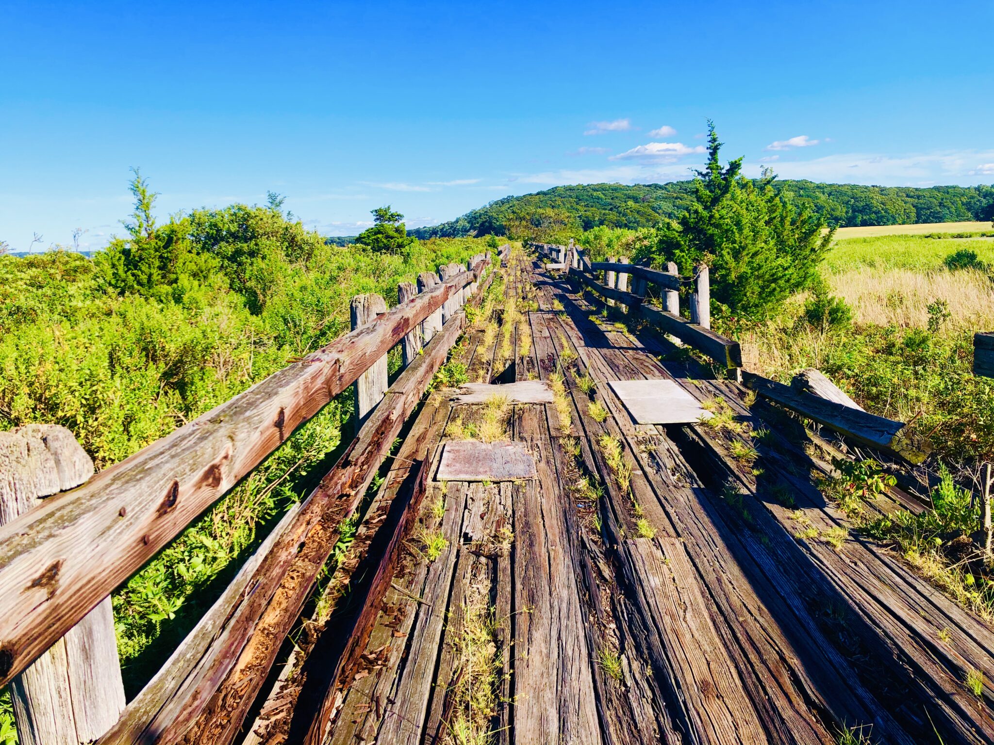 Caumsett State Park, Long Island New York hiking biking Eco Travel