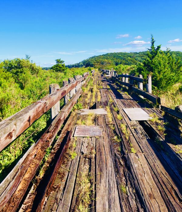 Great Hiking, Biking, Horseback Riding and Jogging at Caumsett State Historic Park Preserve on Long Island, New York