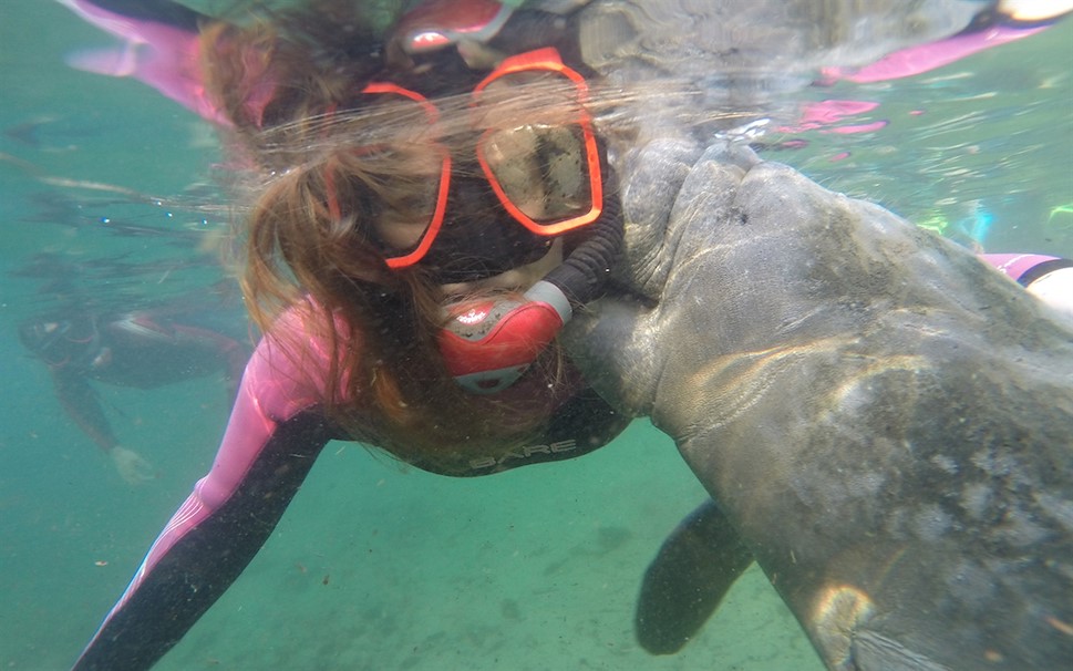 florida manatee plantation on crystal river