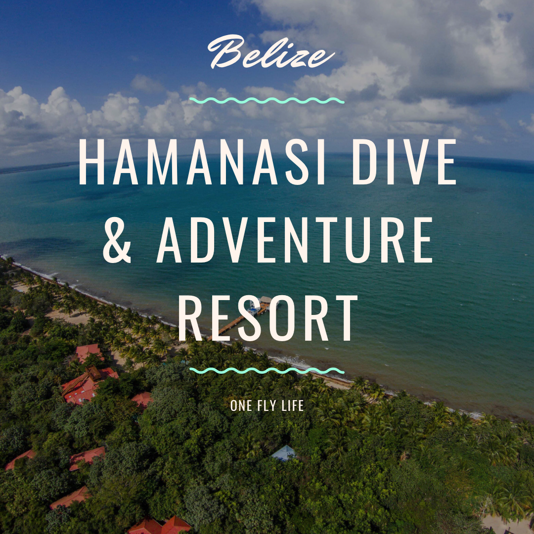 hamanasi dive and adventure resort belize
