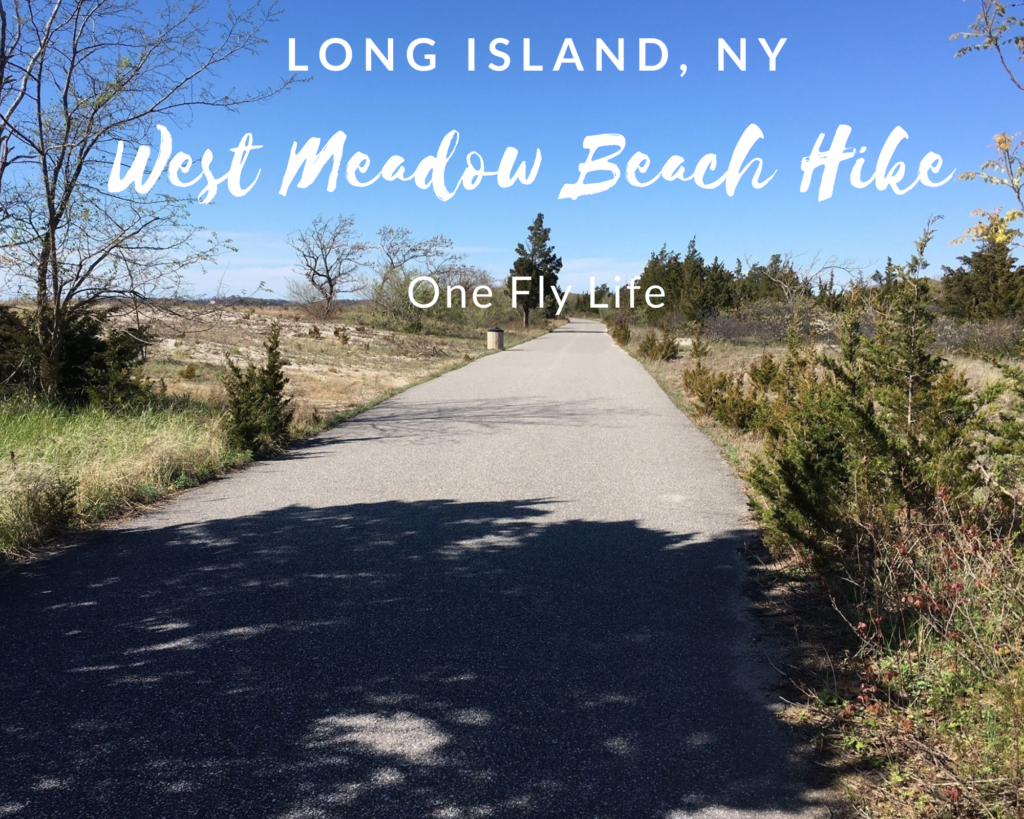 West Meadow Beach Path Hike, Long Island Eco Travel