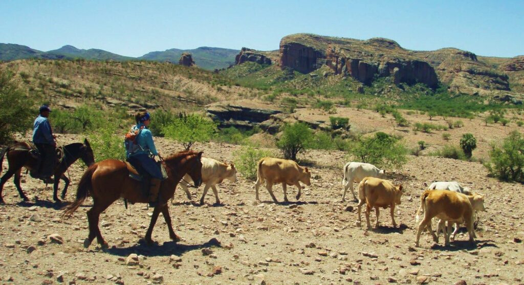 Mexico ranch