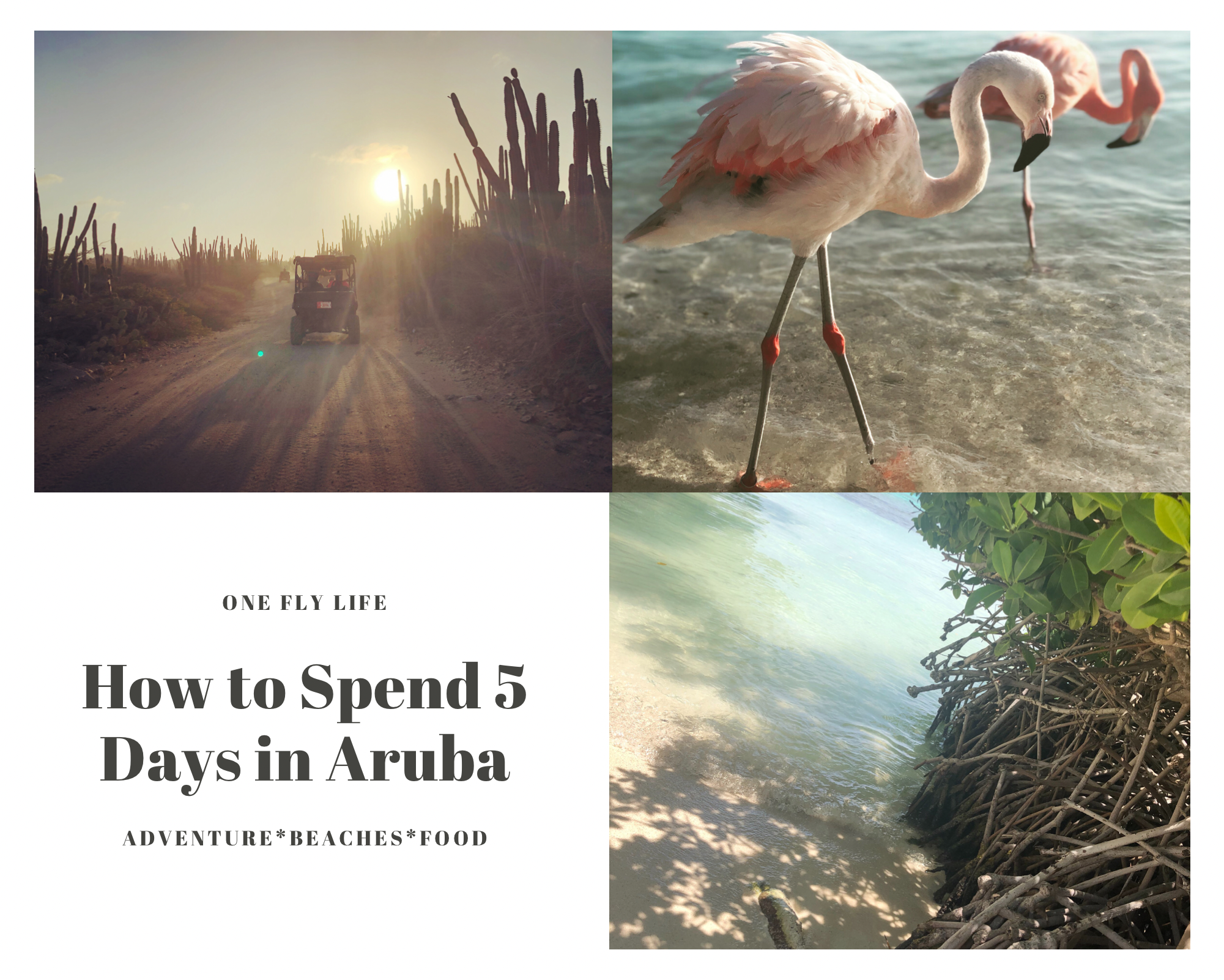 Aruba Travel