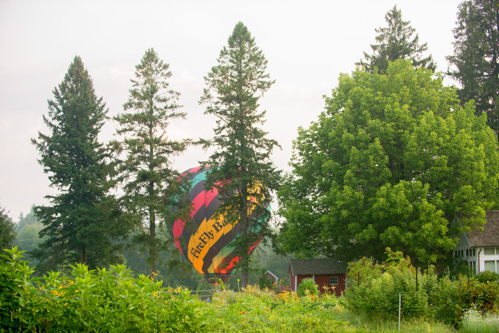 US treehouses