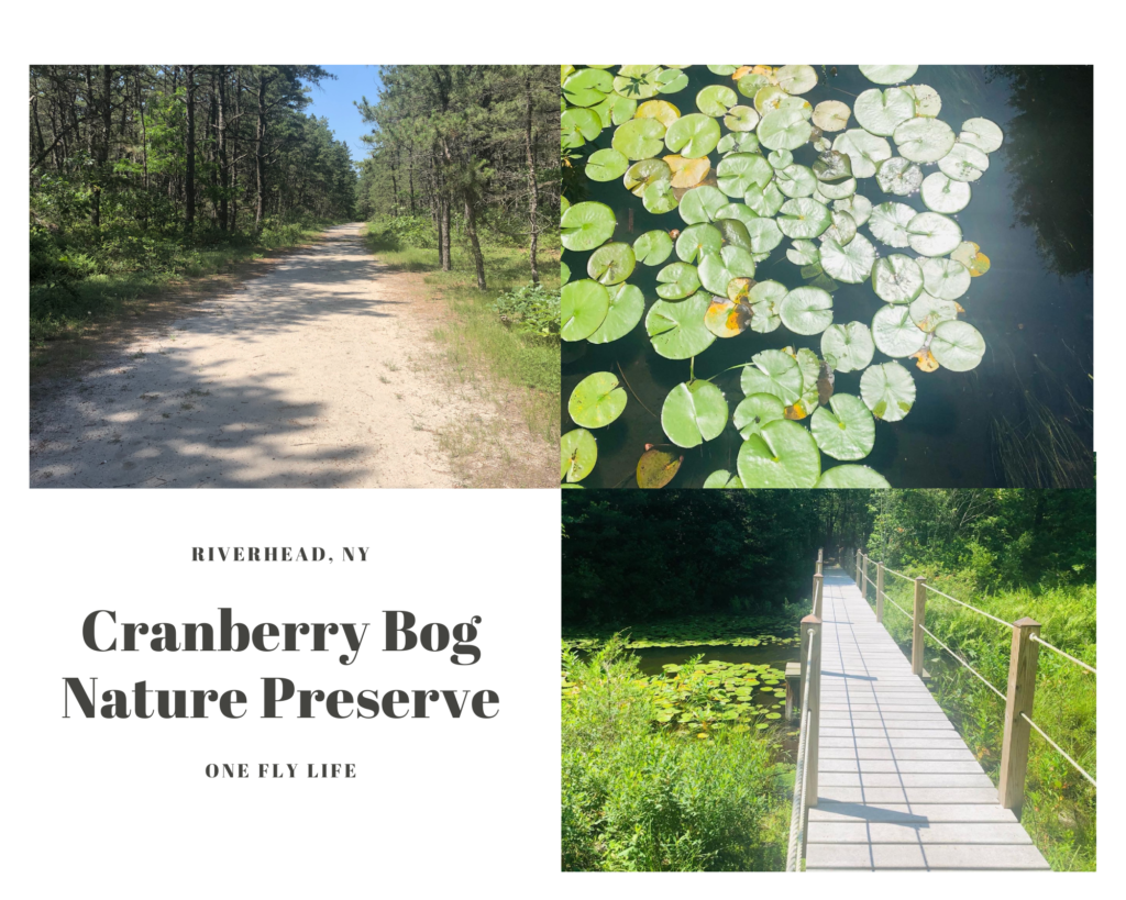 Cranberry Bog Nature Preserve A Long Island Hike Eco Travel