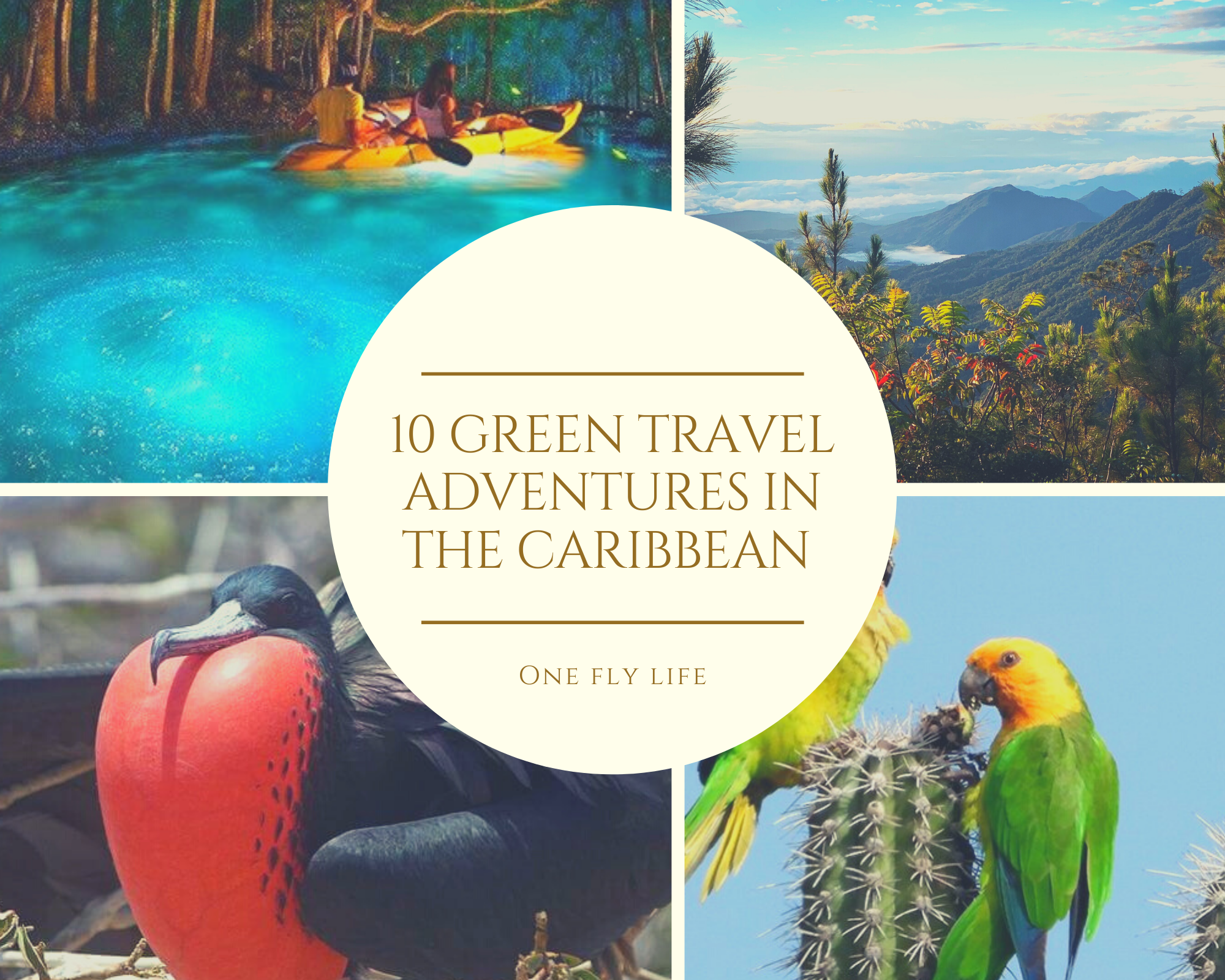 Green travel Caribbean