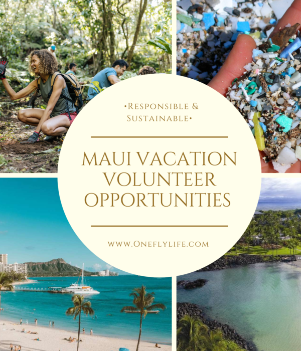 Maui Vacation Volunteer Opportunities in Exchange for Travel Perks