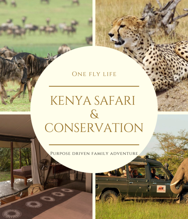 Kenya Safari and Conservation- An Unforgettable Family Experience