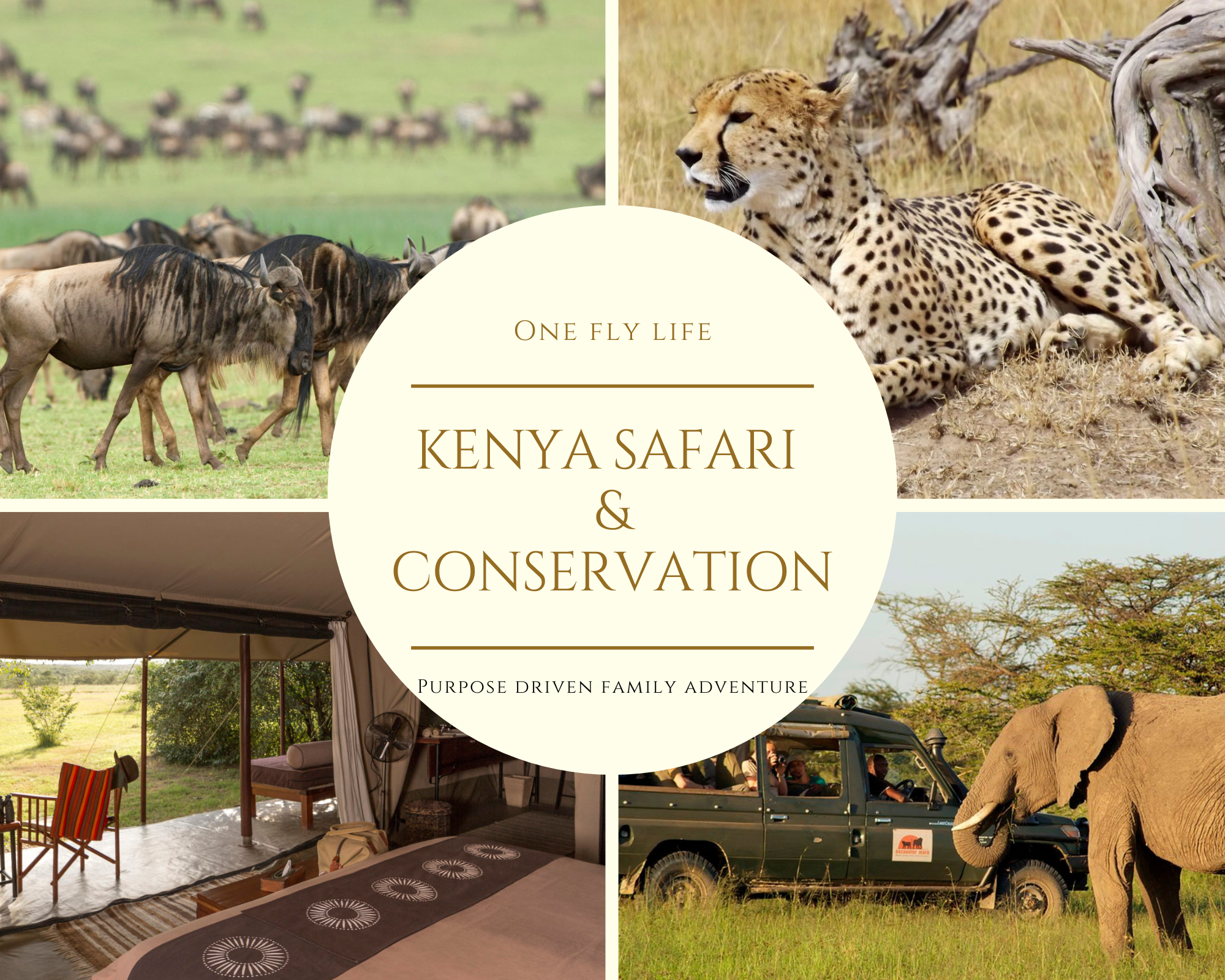 Kenya Safari and Conservation- An Unforgettable Family Experience