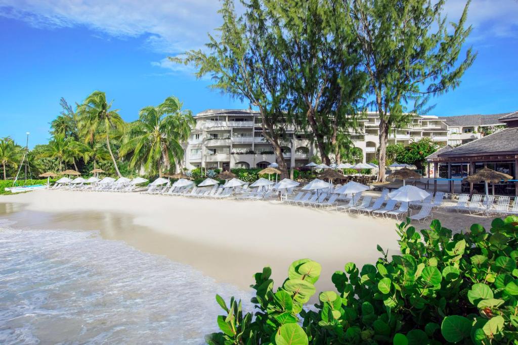 bougainvillea Barbados